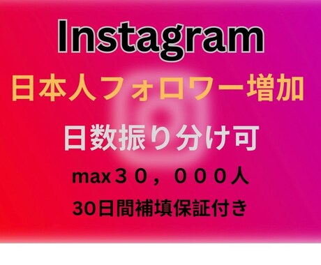 インスタ日本人フォロワーを100名増やします Instagram/max30000人/30日間補填保証付 イメージ1