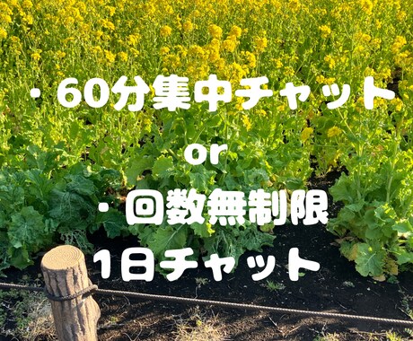 気分変調性障害当事者が丁寧に寄り添います 症状/うつ病との違い/双極性障害との違い/悩み/不安 イメージ2