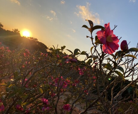 写真素材提供します 自然の写真を撮るのが好きです。 イメージ2
