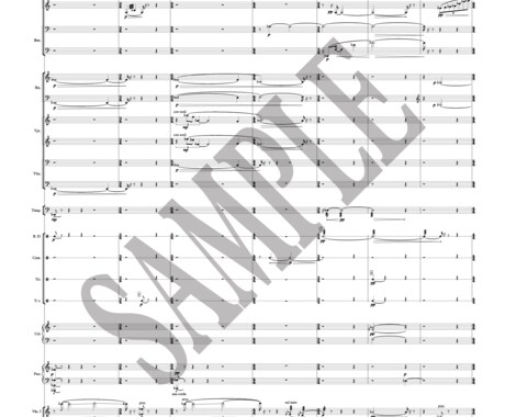 大編成編：高品質のデジタル楽譜を作成・浄書します パート数25までの曲を美しく弾きやすい楽譜にします イメージ2
