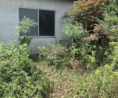 空き家の庭掃除！除草、庭木の剪定します 実家が！転勤で持ち家が！苦情が！を解決します。 イメージ2