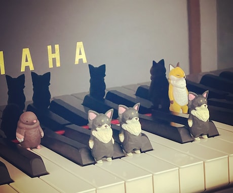 音浴セラピーをお届けします ✨あなたの音が、あなたを包む✨ イメージ1