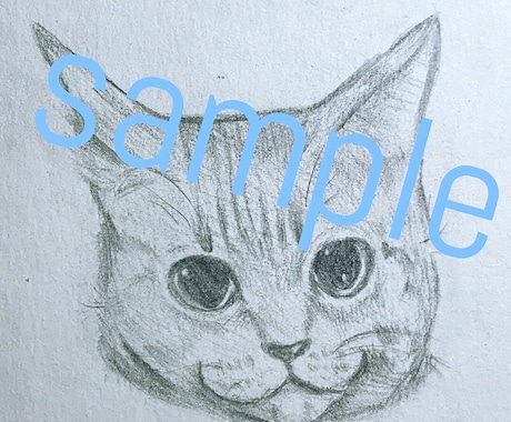 あなたのお家の猫ちゃん描かせていただきます 猫ちゃんをイラストにして欲しい方へ♪ イメージ1