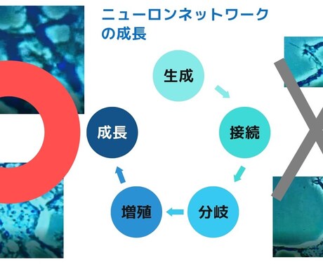 小学生★国語【苦手克服・中学受験】　完全対策します 塾・家庭教師で伸び悩み…　⇒でも大丈夫！　ポイント画像も贈呈 イメージ2