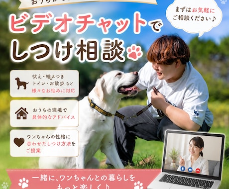 その子に合うトレーニング方法をご提案します 愛犬との最高のパートナーを目指して！ イメージ1