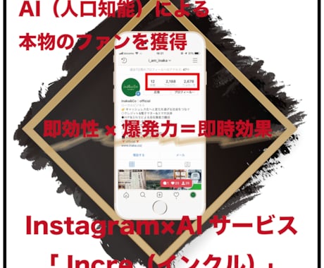 限定値下！InstagramにAIを導入します ｜【初回限定・半額】人工知能を利用した集客力を増強します！ イメージ1