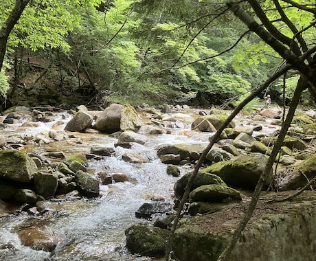 愚痴やモヤモヤをやさしくお聞きします 否定せず、気持ちを大切に受け止めます。 イメージ1