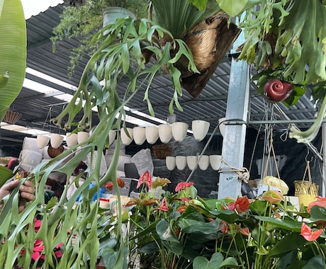 植物ディスプレイ・レイアウト1ヶ月サポート致します 実店舗勤務・海外買付経験を活かし“売れる植物空間”をご提案 イメージ1