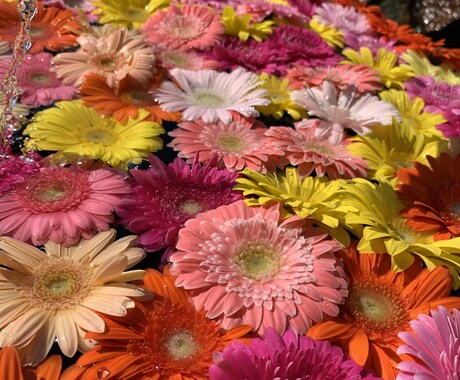 愚痴やご相談をお聞かせください。お待ちしております 気軽にお話できる人をめざしてます、気持ちが軽くなれば幸いです イメージ1
