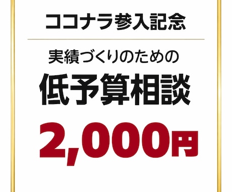 実績づくりのための低予算相談を承ります ココナラ参入記念！初回限定2,000円の相談プラン イメージ1
