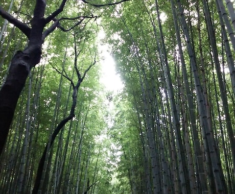 宿曜☆で気になるあの人の性格や相性をみます おふたりのご関係が気になる貴方に☆ イメージ1