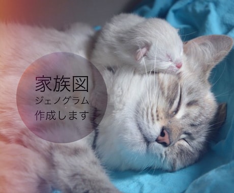 ジェノグラムと呼ばれる家族図をプロが作成します 家族紹介や会話のきっかけに☆カウンセリングや受診にもおすすめ イメージ1