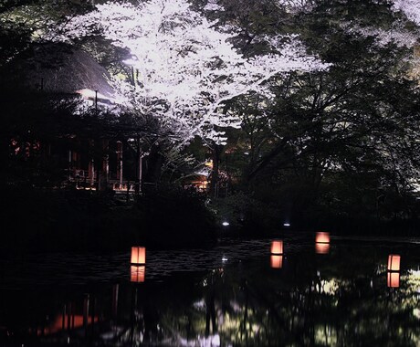 風景や食べ物などの写真を提供します 川、滝、花等の写真を撮影しています。 イメージ2