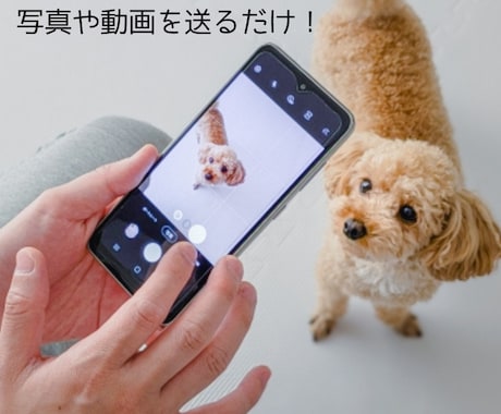 家族（ペット）の思い出をストーリー動画に仕上げます 昔の写真もOK｜プレゼントにも イメージ2
