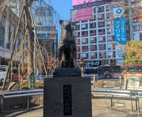 ペットの飼育相談します ペットシッター歴20年の経験を生かしたペットの飼育相談 イメージ1