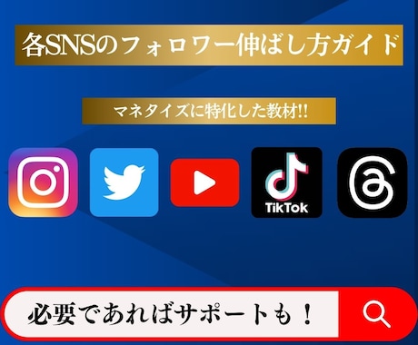 各種SNSの効果的なフォロワー増やし方教えます ✅SNS初心者大歓迎❗️最終的にはマネタイズも視野に入れよう イメージ1
