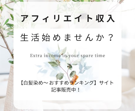 白髪染め～おすすめ比較ランキングの記事販売してます 白髪を意識し始める30代、40代以降の女性がターゲット イメージ1