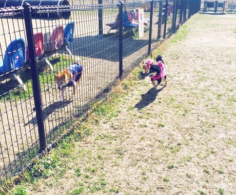 わんちゃんの飼い主様の為にお力になります 動物看護師兼ドックトレーナーによるお悩み相談です イメージ1