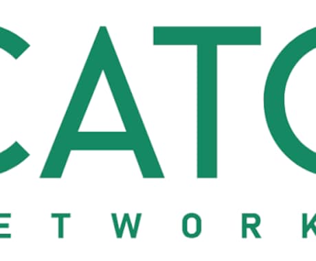 Cato Cloud導入・移行を支援致します 設計・構築・障害切り分け・技術支援まで幅広く対応 イメージ1