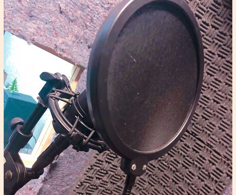 声で命を吹き込みます どんなシーンの声にも対応します！ イメージ1