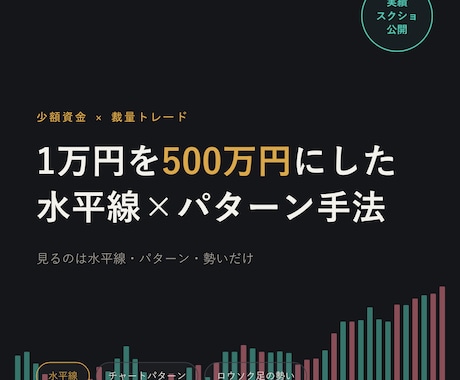 1万円を500万円にした手法教えます 専業になるための資金をコレで作りました イメージ1