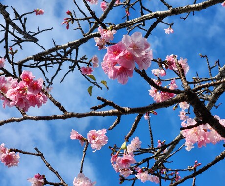 辛いね無理しないで！５分だけ話そう！そばにいます 胸の重さはそう簡単には取れない。少しでも話せば小さくできる。 イメージ1