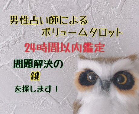 24時間以内鑑定。気持ちに寄り添い鑑定致します 〜恋愛状況判断〜〜お仕事アドバイス〜 イメージ1