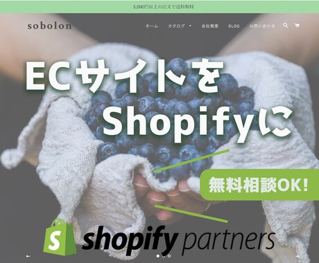 売り上げに繋げる【先着1名】ECサイトを制作します 簡単に決済のできるshopifyで売り上げに繋げましょう。 イメージ2