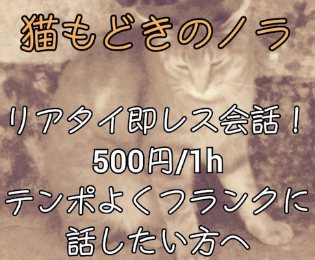 その気持ち、猫もどきのノラが一緒に分かち合います あなたにそっと寄り添う存在になれますように イメージ1