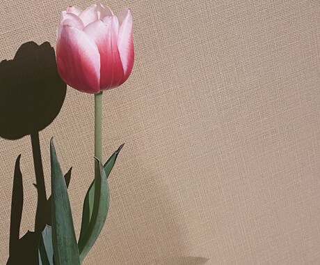 関西弁であなたの心に寄り添います たくさんお話しましょう❤︎あなたのことを教えてください♪ イメージ1