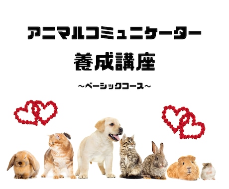 アニマルコミュニケーターになる方法をお教えします アニマルコミュニケーションは誰でも習得できる技術です！ イメージ1