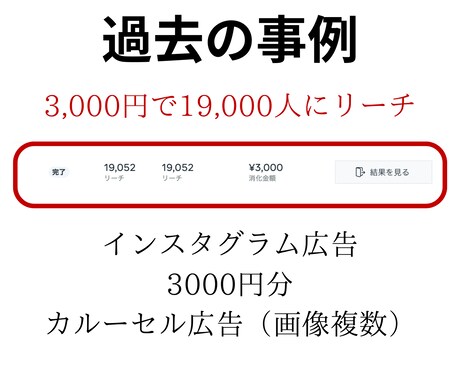 インスタ広告の運用を代行ます ターゲットに合わせて少額で効率的な広告を運用 イメージ2