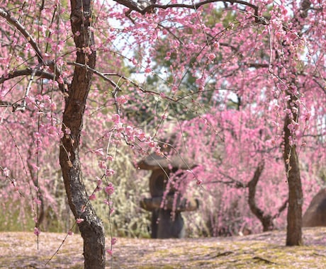 京都や海外の美しい写真を提供いたします 綺麗で美しい写真が欲しいあなたへ イメージ1