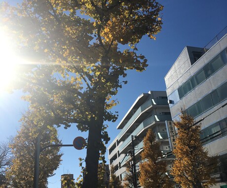法人や個人営業に慣れないあなた 楽しむ方法教えます いつも相手にビクビクしてしまう方、成績が出ず悩んでいる方など イメージ1