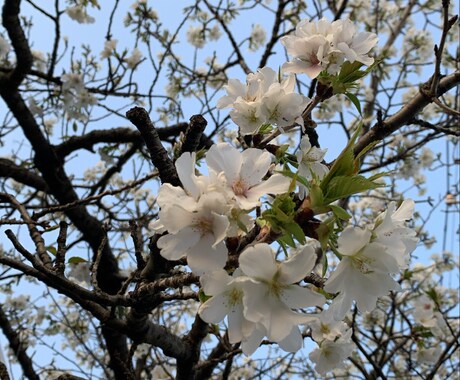 相談乗ります あなたの悩み聞かせてください！ イメージ1