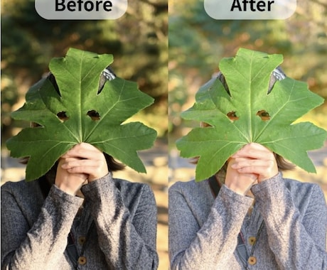 写真を理想の色味にレタッチします 日常の一枚を、記憶に残る一枚へ イメージ2