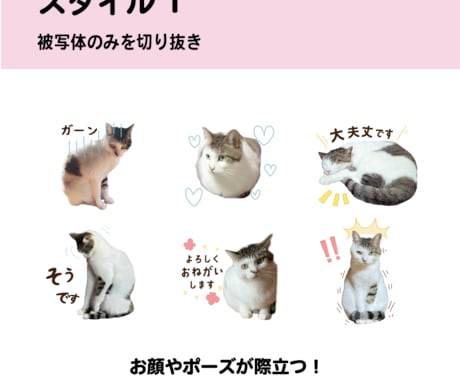 ペットのお写真でLINEスタンプを作ります お気に入りの写真をLINEスタンプに！ イメージ2