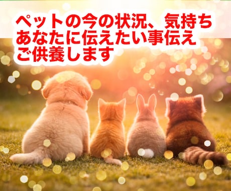 ペットロスの方へ、ペットの気持ちを伝えご供養します 亡くなったペットから伝えたい言葉をお伝えします イメージ1