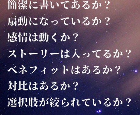 格安】メルマガ、LP、セールスレター動画添削します 動画により改善ポイントの指摘し、売上がるレターに改善します イメージ2