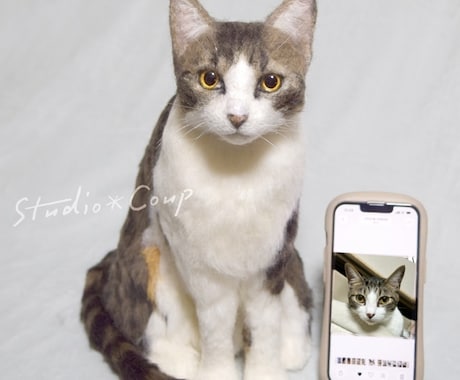 ペットのお写真から羊毛でリアルにお作りします イメージ1