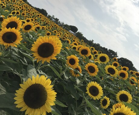 あなたの「なりたい姿」手伝います 栄養士が食事をサポート！【痩せやすい体】を手に入れましょう。 イメージ1