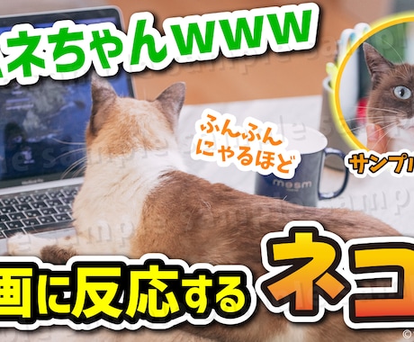 修正5回まで｜一律1500円！サムネイル作ります YouTube動画ならジャンル問わず！見栄え◎サムネ！ イメージ1