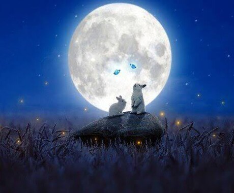 四柱推命で月運を1年間じっくり鑑定します 恋も仕事も急展開！？恋愛・金運など月別に細かく占います イメージ2