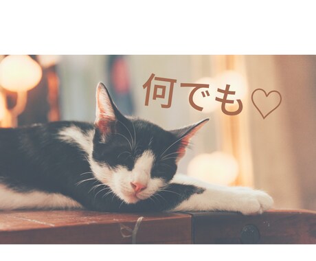 なんでもお聞きします ♡どんなことでも5分でもOK⭐︎誰かと話したいな〜って時に♡ イメージ1