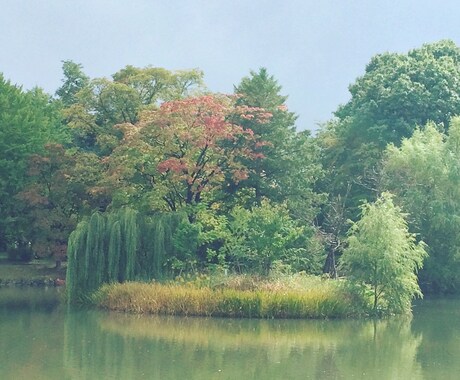 問題解決への道標☆☆原則24時間以内に占います 恋愛･仕事･人間関係必ず解決へ導きます イメージ1