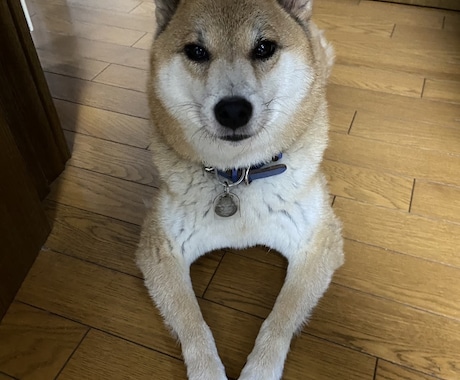 心に刺さるインタビュー記事を書きます 言葉にならない、を書き起こします。 イメージ1