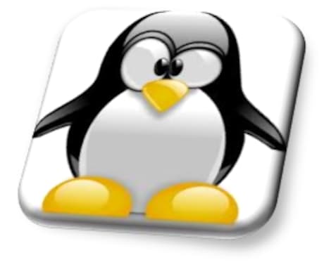 Linux初心者をしっかりサポートします Windowsしか触ったことがなくてもOKです。 イメージ2