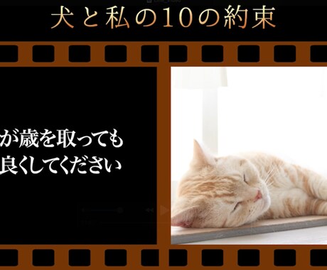 想いを形に、愛するペットのメモリアル動画ます 心に響く、優しい映像をお届け！！！ イメージ2
