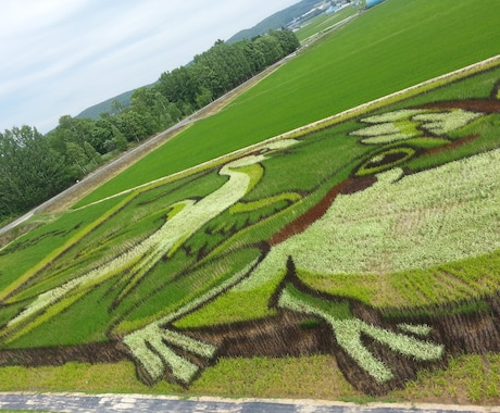 北海道の旭川に遊びに来る人に美味しいとこ教えます 旭山動物園に行く人、旭川を旅行で通る人向け イメージ1