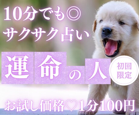 お試し♡10分でサクッと、彼が運命の人か占います 【8月末まで♡初回限定】1分200円→100円｜短時間OK♡ イメージ1